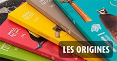 LES ORIGINES