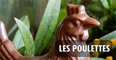 LES POULETTES