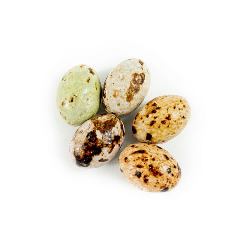 Oeufs de goélands - 200g